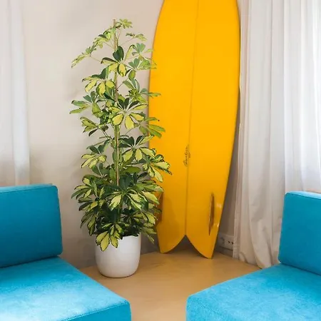 Incredible - Surf House Oporto